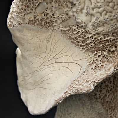 Gold crystalline vase closeup by Salman ikram